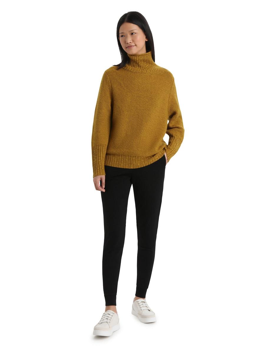 Chandails Icebreaker Merino Seevista Funnel Neck Femme Doré | FR 1626WNBY